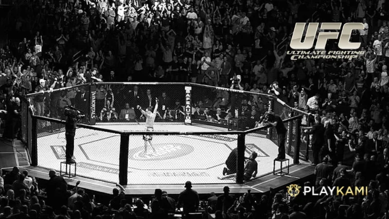 PlayKami UFC